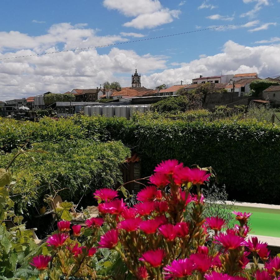 O Ze Ja Dormiu Aqui Villa Celeiros Eksteriør billede