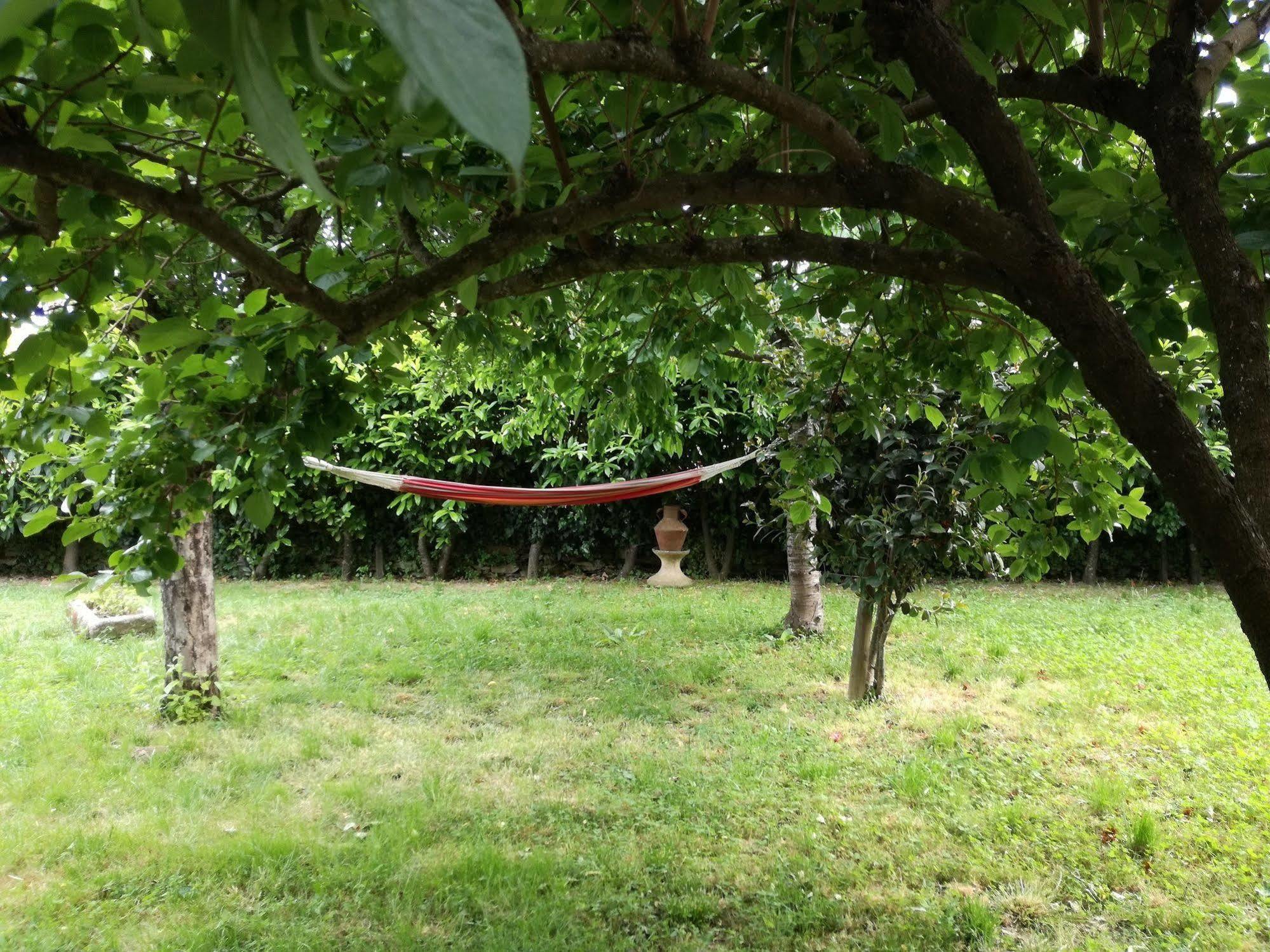 O Ze Ja Dormiu Aqui Villa Celeiros Eksteriør billede