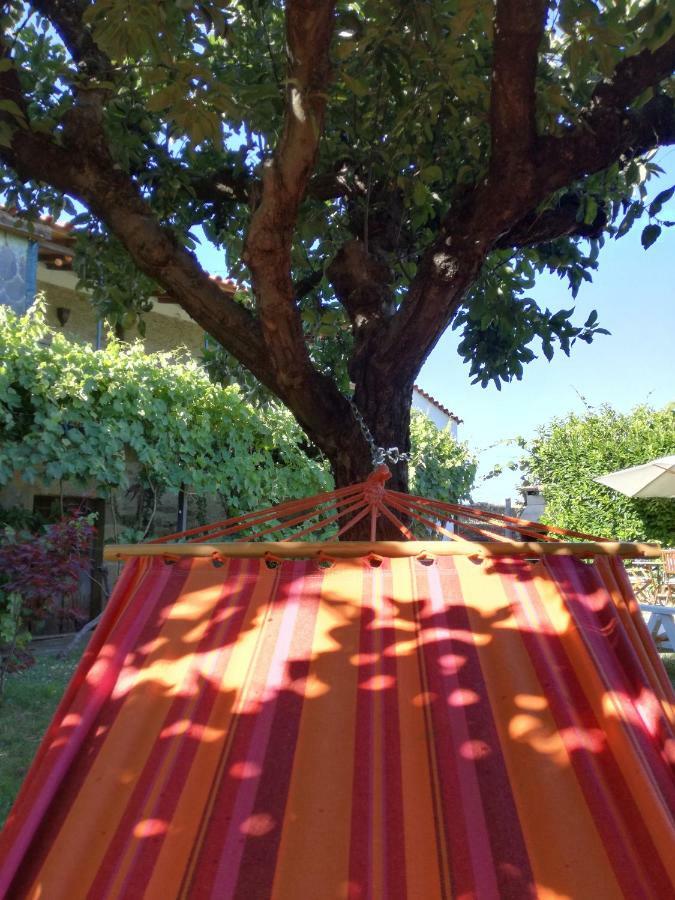 O Ze Ja Dormiu Aqui Villa Celeiros Eksteriør billede