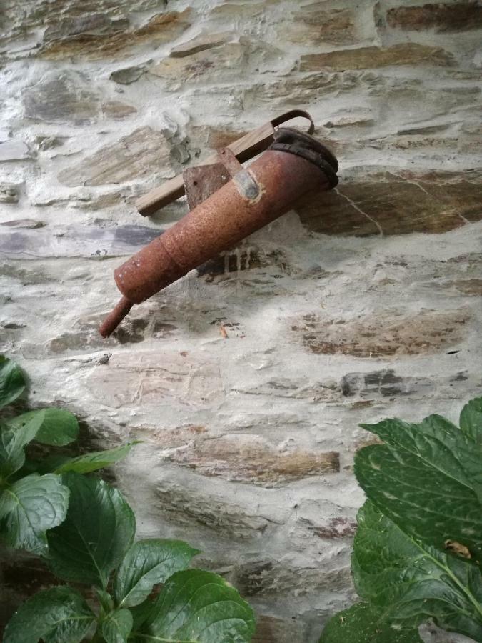 O Ze Ja Dormiu Aqui Villa Celeiros Eksteriør billede